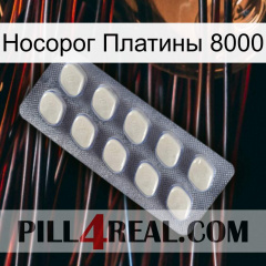 Носорог Платины 8000 08